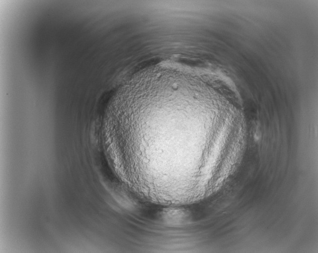 X0000068770218200605121710