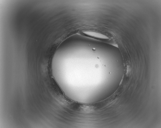 X0000068770221200605121710