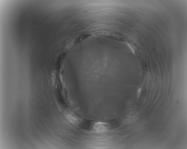 X0000068770222200605121710