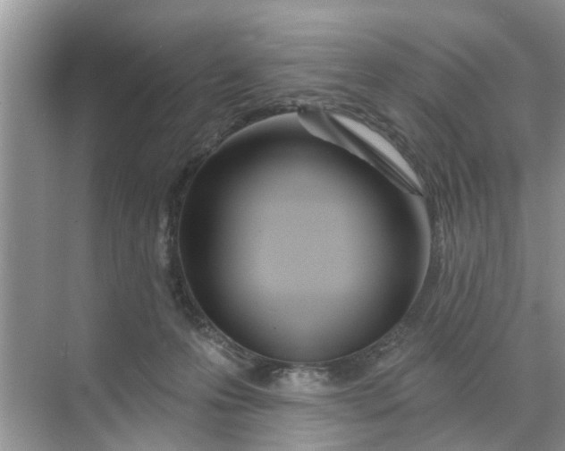 X0000068770223200605121710