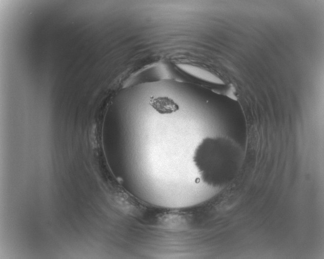 X0000068770224200605121710