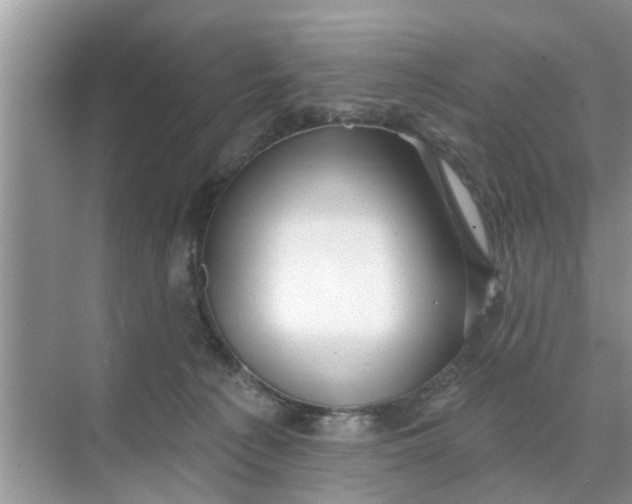 X0000068770225200605121710