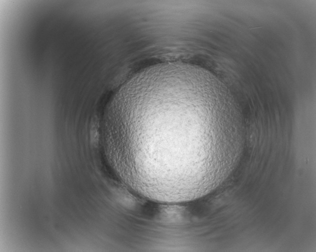 X0000068770226200605121710