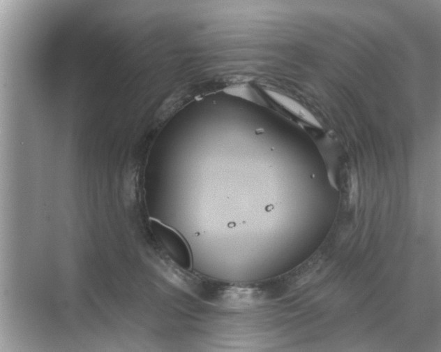 X0000068770227200605121710