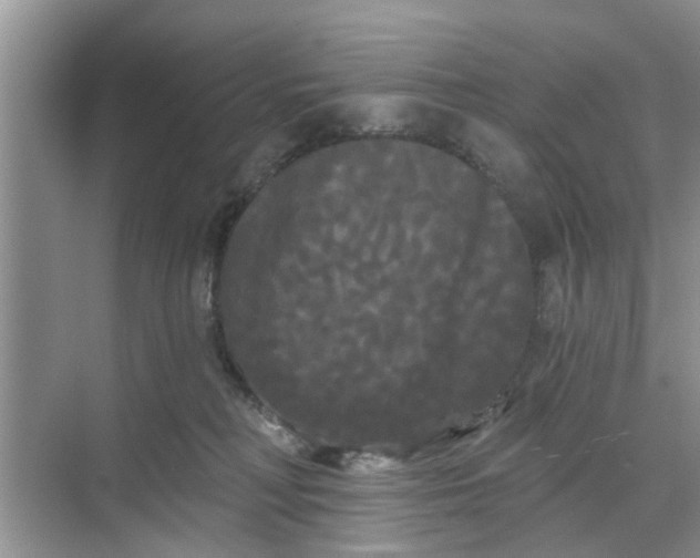 X0000068770230200605121710