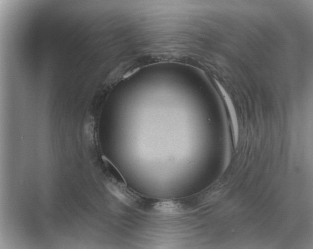 X0000068770231200605121710