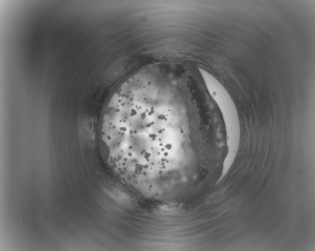 X0000068770232200605121710