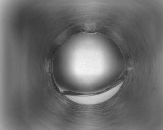 X0000068770233200605121710