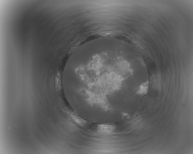 X0000068770234200605121710