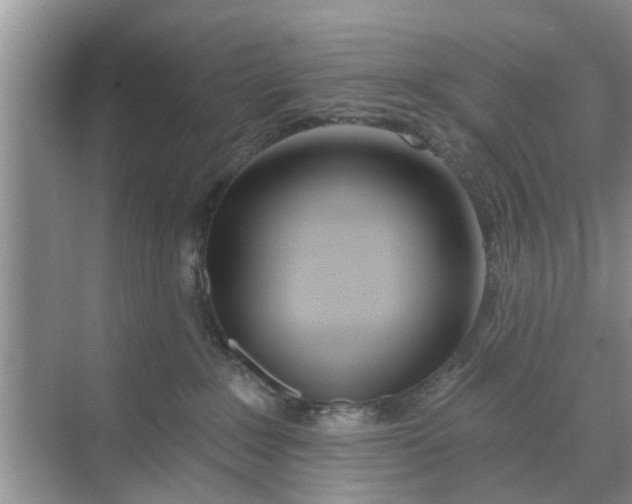 X0000068770235200605121710