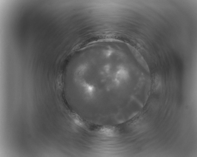 X0000068770236200605121710