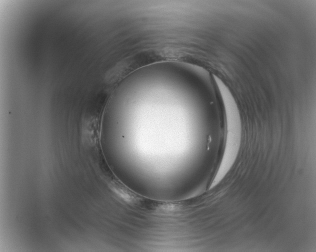 X0000068770237200605121710