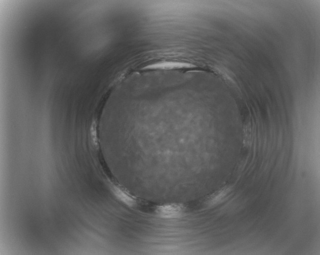 X0000068770238200605121710