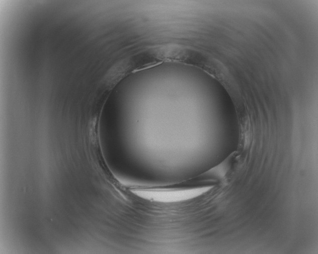 X0000068770239200605121710