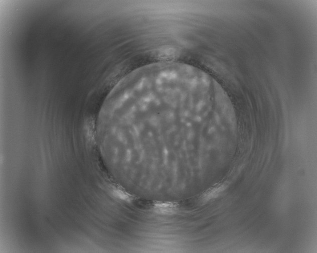 X0000068770240200605121710