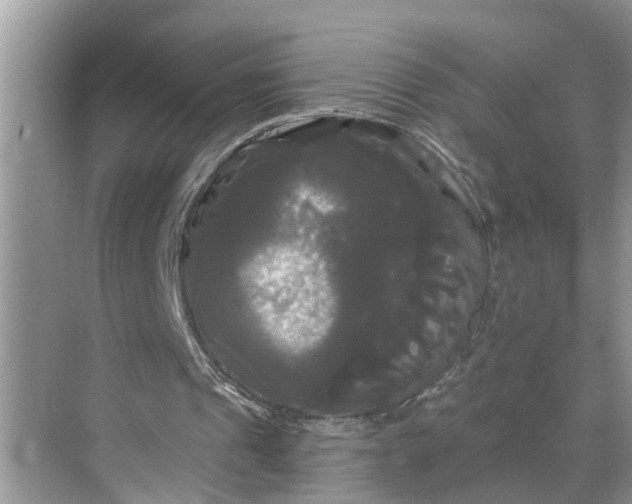 X0000068770241200605121709