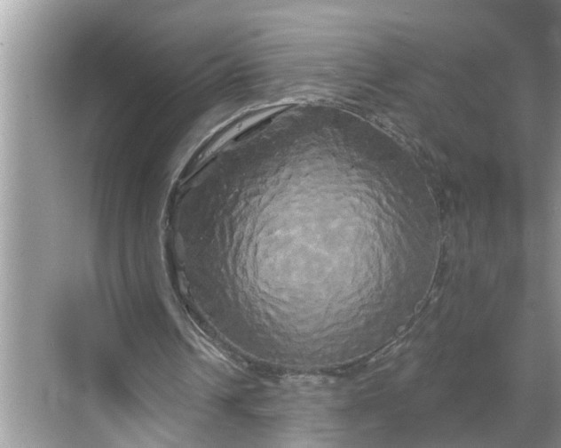 X0000068770242200605121709