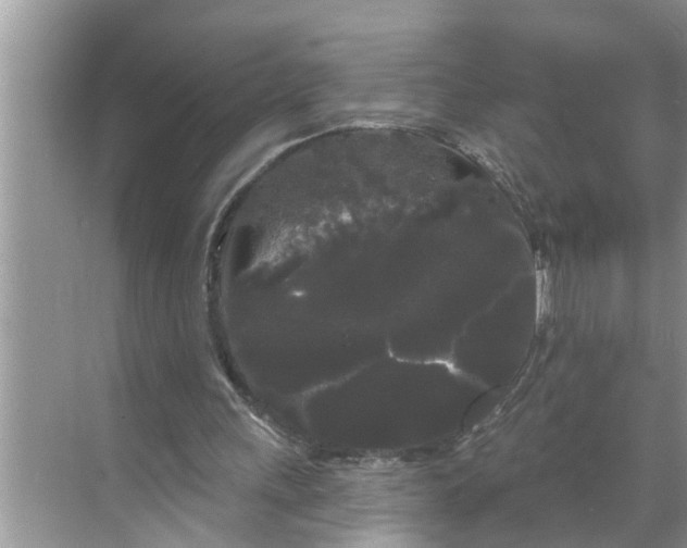 X0000068770243200605121709