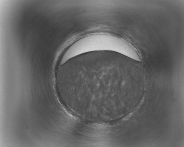 X0000068770245200605121709