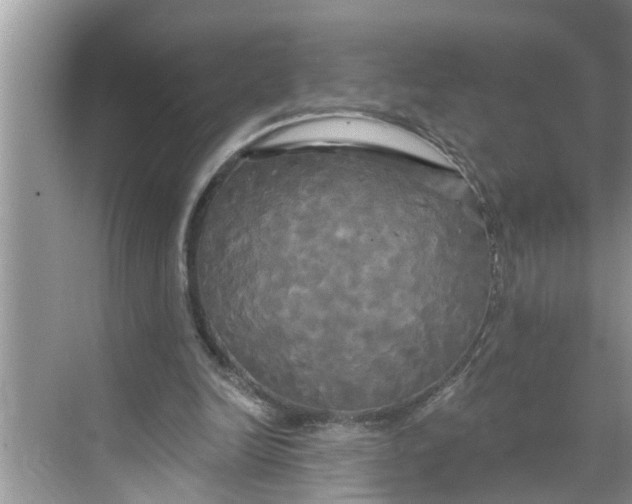 X0000068770246200605121709