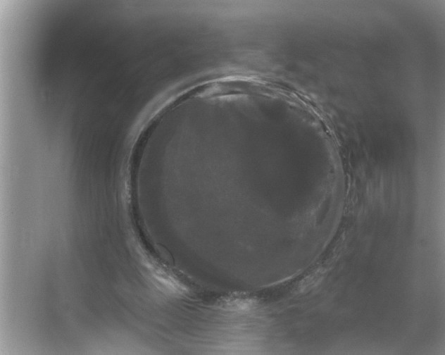 X0000068770247200605121709