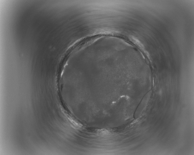 X0000068770249200605121709