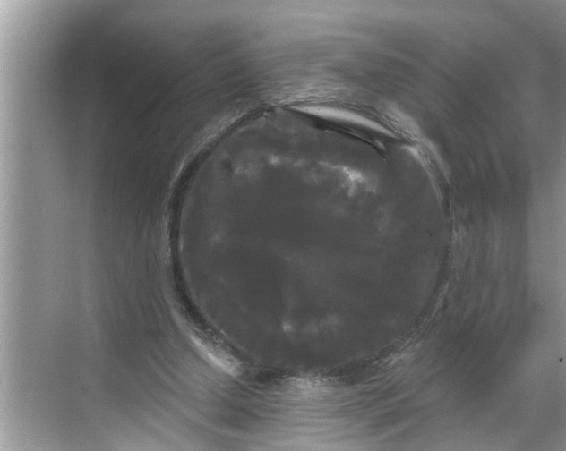 X0000068770250200605121709