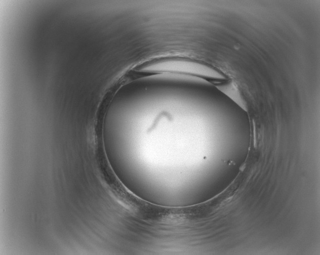 X0000068770252200605121709