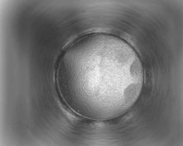 X0000068770253200605121709