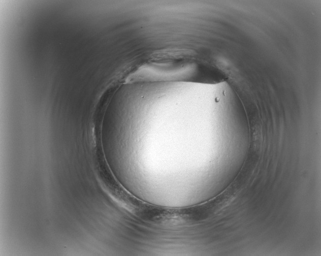 X0000068770254200605121709