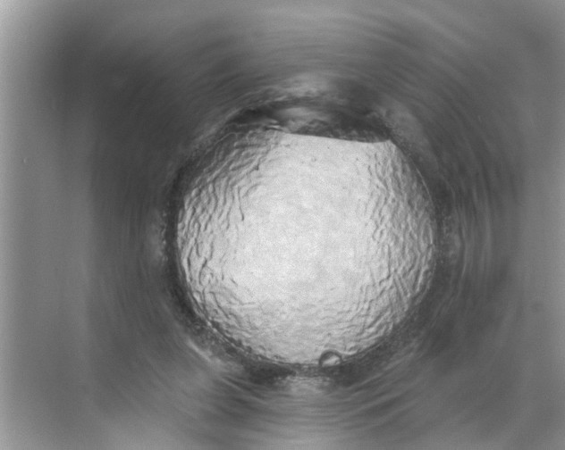 X0000068770255200605121709