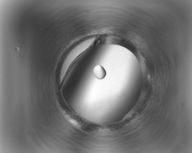 X0000068770256200605121709