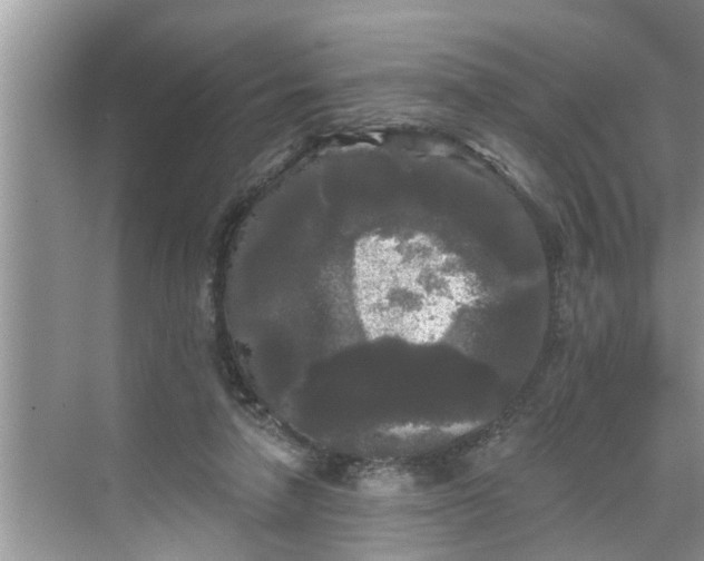 X0000068770258200605121709