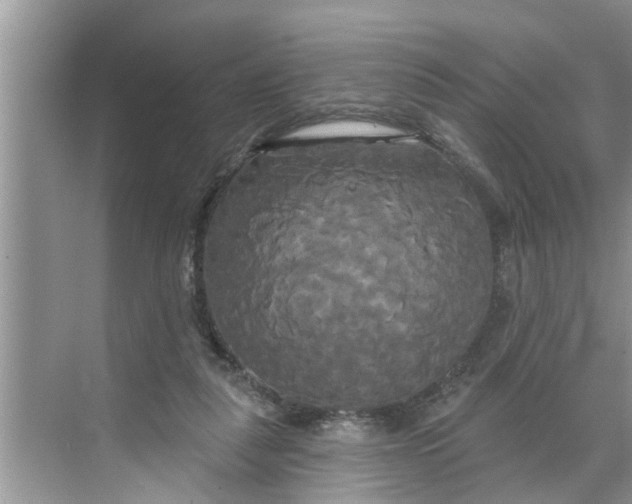 X0000068770259200605121709