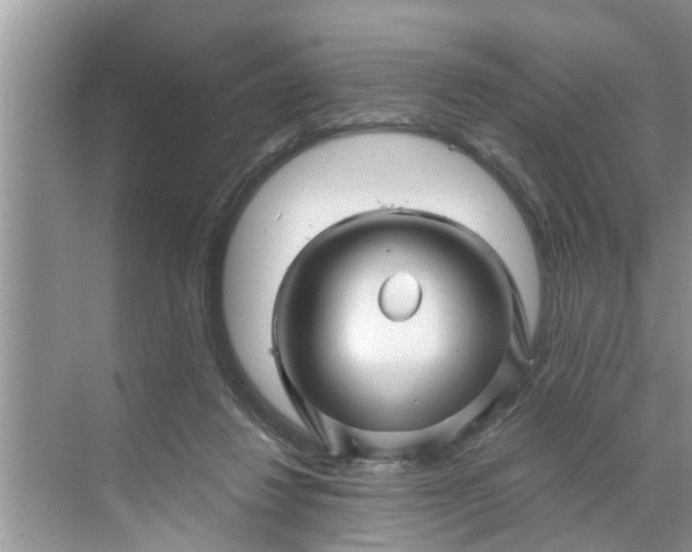 X0000068770260200605121709