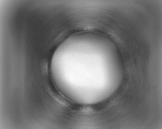 X0000068770262200605121709