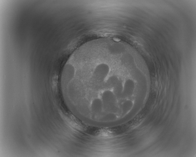 X0000068770263200605121709