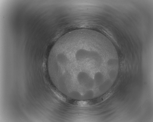 X0000068770265200605121709