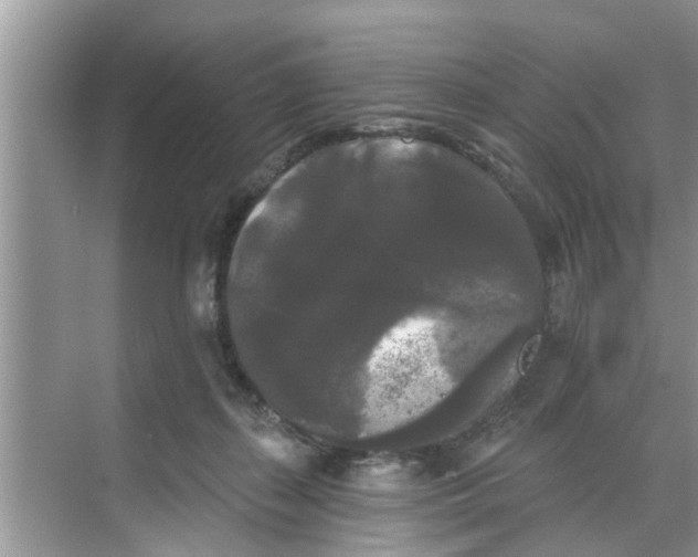 X0000068770267200605121709