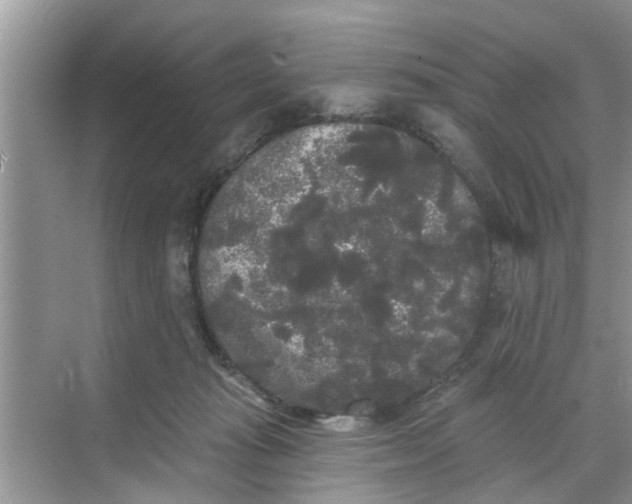 X0000068770269200605121709