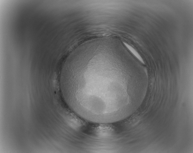 X0000068770270200605121709