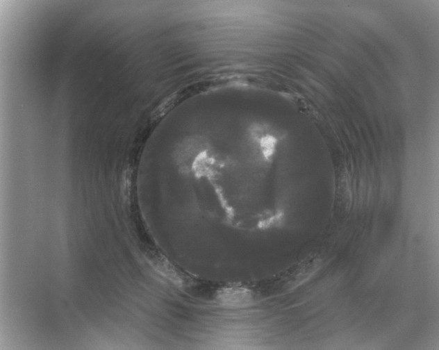 X0000068770271200605121709