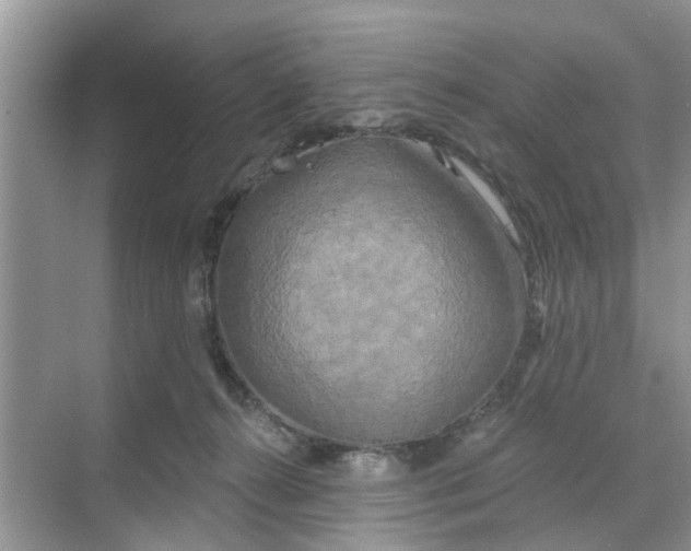 X0000068770272200605121709