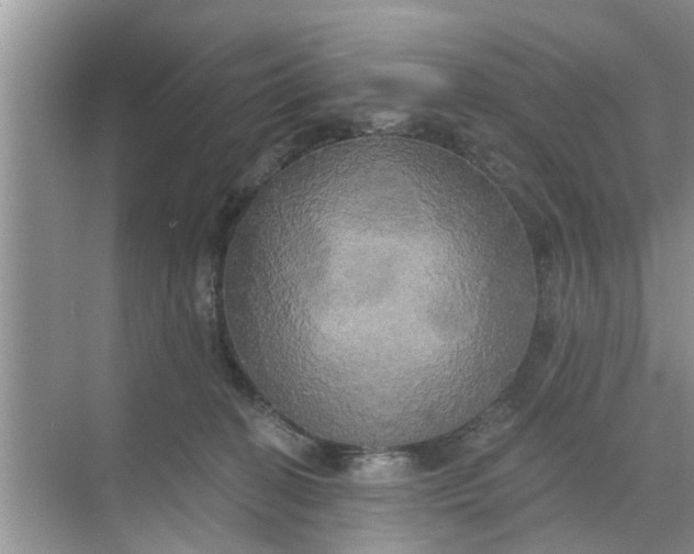 X0000068770274200605121709