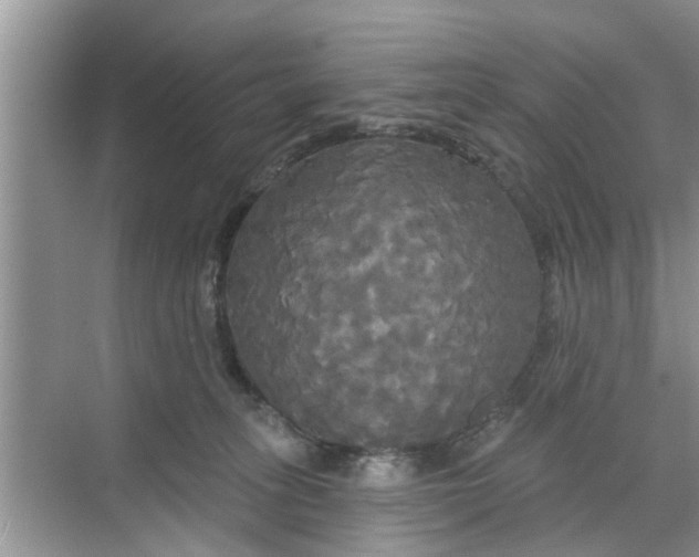 X0000068770275200605121709