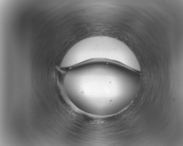 X0000068770276200605121709