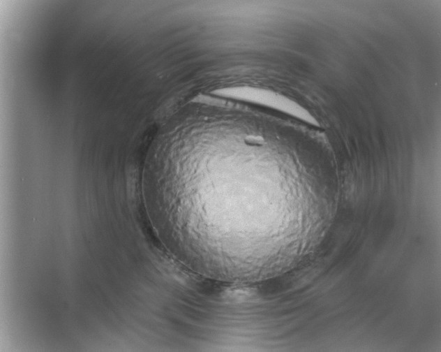 X0000068770283200605121709