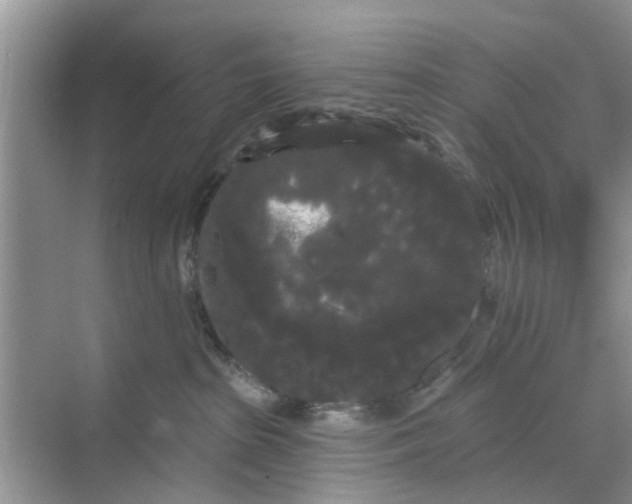 X0000068770285200605121709