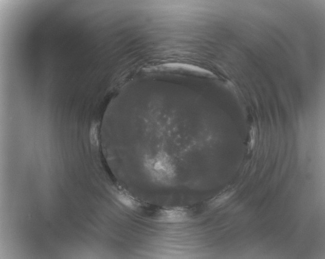 X0000068770286200605121709