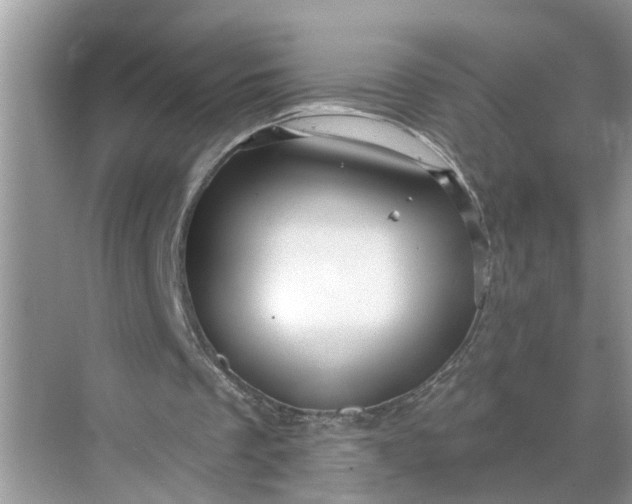 X0000068770289200605121709